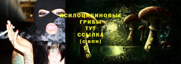 соль курить ск Михайлов