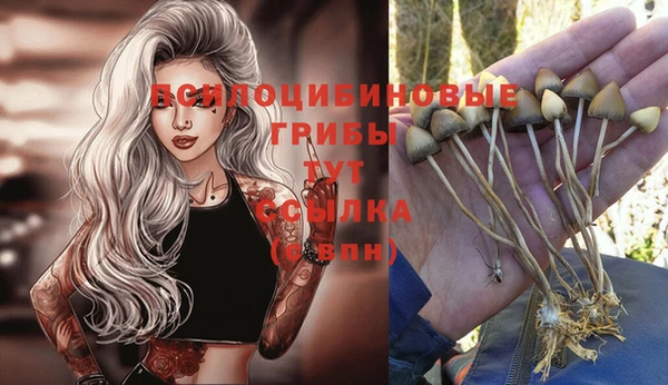 соль курить ск Михайлов