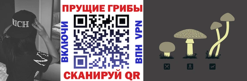 даркнет сайт  Поронайск  Псилоцибиновые грибы GOLDEN TEACHER 